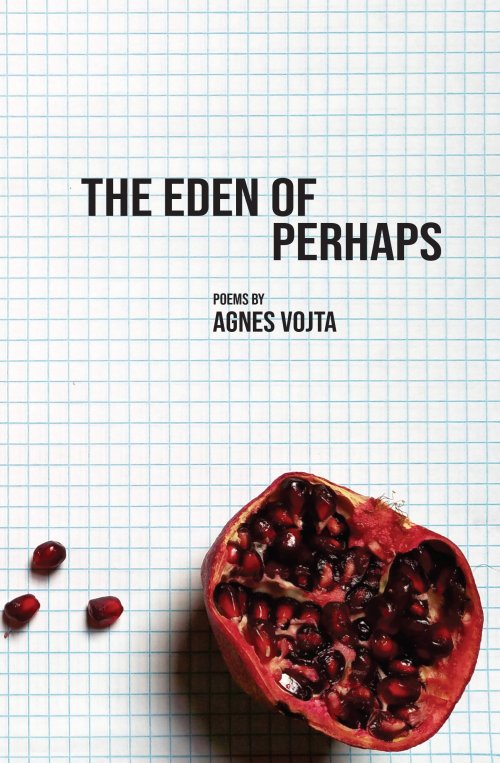 Cover of THE EDEN OF PERHAPS